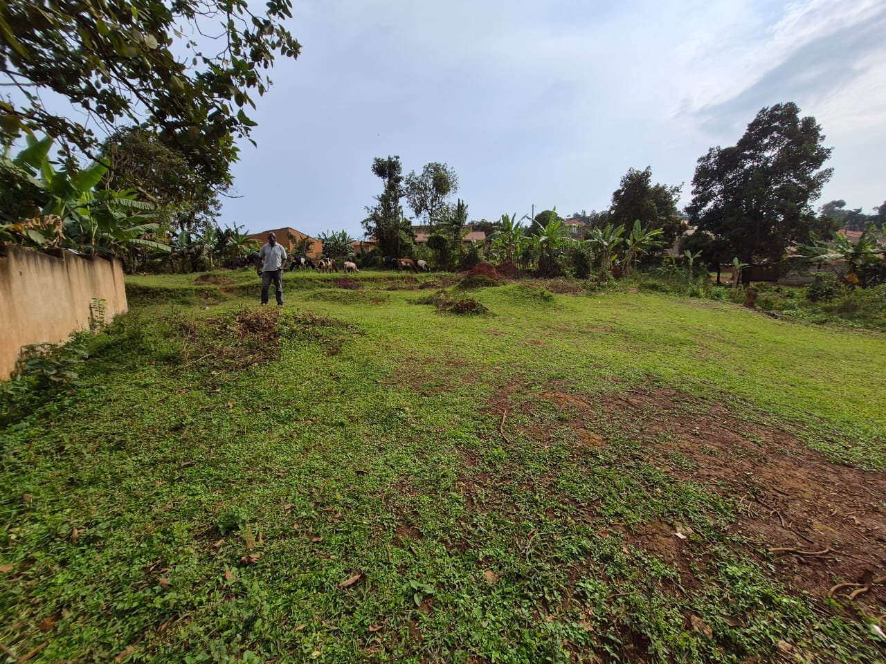 view of kitnede land